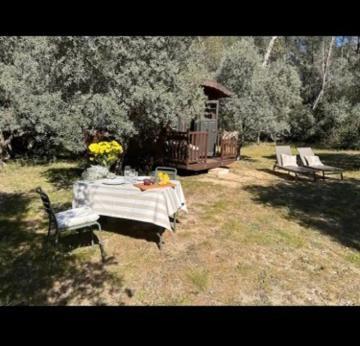 Отель Roulotte / Tiny House Dans Les Alpilles Сен-Реми-де-Прованс Экстерьер фото
